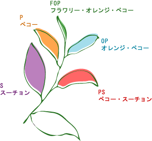 GMT紅茶専門店 紅茶教室