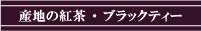 �f�l�s�g�����X�@�Y�n�̍g���u���b�N�e�B�[