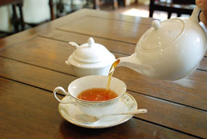 ＧＭＴ紅茶専門店