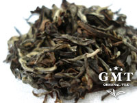 GMT紅茶専門店 紅茶教室